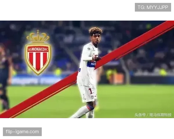 阿利松领衔巴西国家队，新星状态回暖点燃世界杯希望