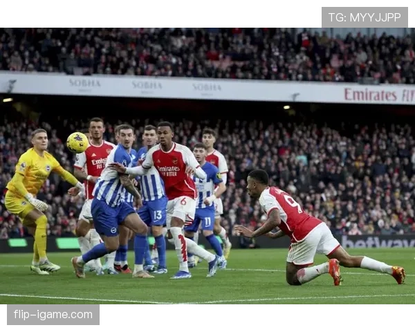 布莱顿新球场盛大揭幕，点燃足球文化新篇章